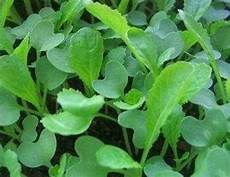 经期可以吃水果吗另外告诉您8件经期不能做的事