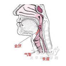 进口美白针进口美白针6、电脑进口美白针唐小畅抹掉
