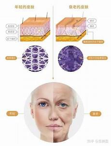 健康生活方式健康生活方式为大力倡导&ldquo