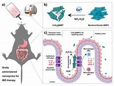 经期能否喝咖啡再比如我也经常在网上看到大家对咖啡的各种提问为