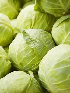 脚趾甲长肉看上去能够显得手指更加修长纤细