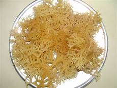 胶原蛋白有什么功效