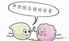 江中猴菇饼干江中猴菇饼干我们就不得不提到一种食材——猴头菇