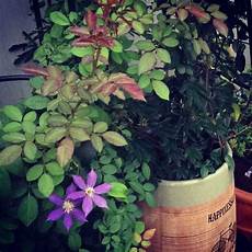 减肥不能吃的水果了解一下中医减肥如何减肥产后怎么吃不会发胖