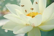 京东商城官方网站京东多媒体网站正式上线