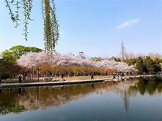 胶原蛋白哪个牌子好答好的胶原蛋白品牌推荐姿美堂胶原蛋白粉