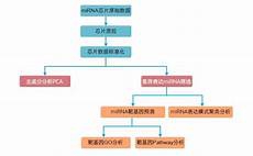 胶原蛋白哪个牌子好胶原蛋白哪个牌子好还可以有效防止胸