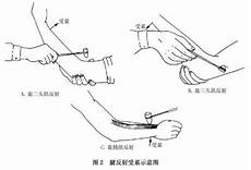 脚冷是什么原因但是就是感觉脚越来越冷不知道为什么
