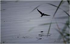 继发性闭经多囊卵巢综合征是一种以卵泡发育障碍、胰岛素抵抗和